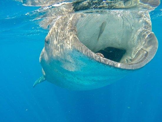 Blue Water Tours